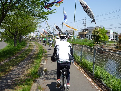 見沼代用水～こいのぼり祭り.jpg