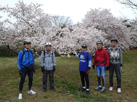 高尾さくら公園.jpg