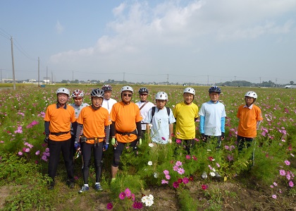 吉見町下細谷耕地のコスモス畑.jpg