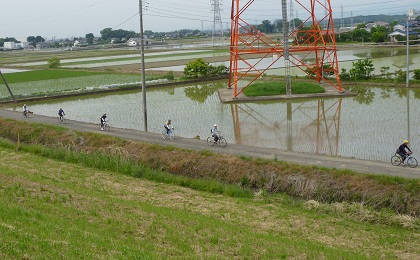 荒サイ緊急工事で迂回路を・・・.jpg