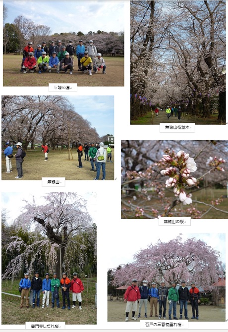 第91回例会＿桜巡り_190328.jpg