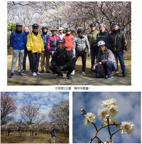 大宮第2公園梅林.jpg