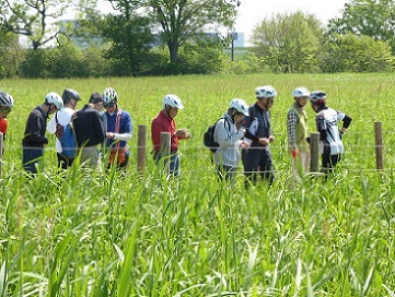 4桜草公園Rv.jpg