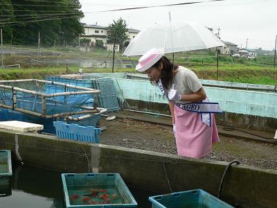 20070704あぴお大野金魚(1).JPG
