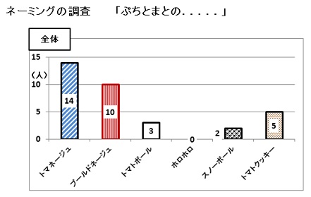 ネーミング　アンケート分析　�