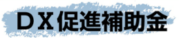 DX促進補助金