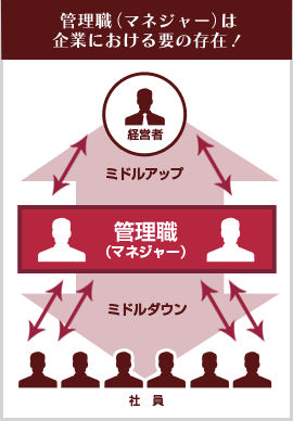 ビジネスマネジャー検定試験(概念図)