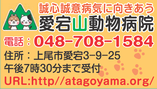 愛宕山動物病院 上尾商工会議所 会員事業所紹介