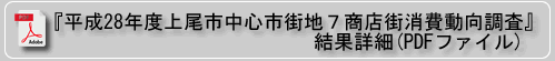 平成28年度上尾市中心市街地7商店街消費動向調査