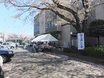 2014年「桜を楽しむ会」-1