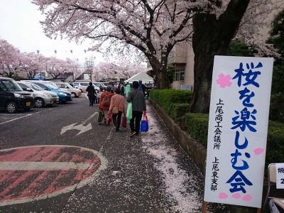 桜を楽しむ会201504-1