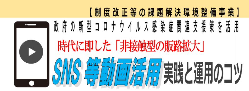 SNS等動画活用 実践と運用のコツ